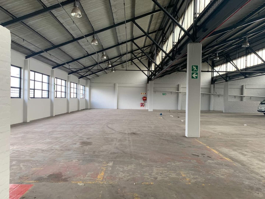 To Let Commercial Property for Rent in Paarden Eiland Western Cape